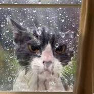 upvc-door-panels-for-catflaps